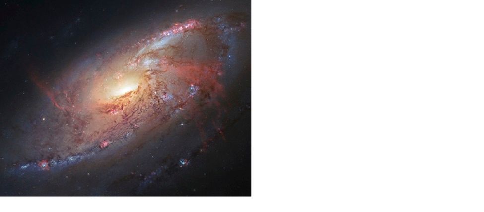 An HST image of an active galaxy.