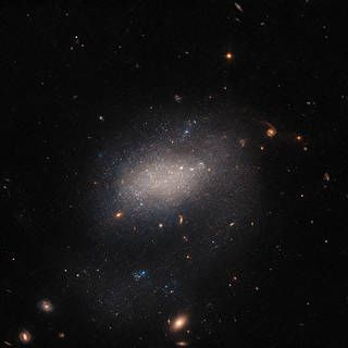 Hubble Captures Cosmic Treasure Trove