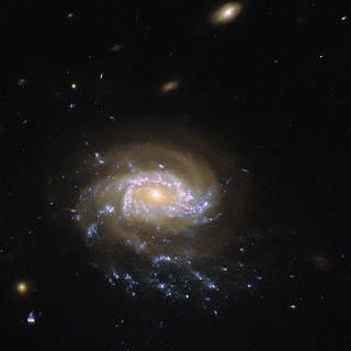 Hubble Peers at a Galactic Seascape