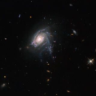 Hubble Views Striking Starry Tendrils