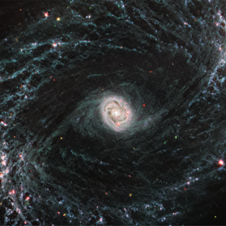 NASA’s Webb Reveals Intricate Networks of Gas and Dust in Nearby Galaxies