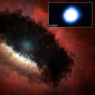 illustration of proto-star with dust and gas surrounding it in a disk