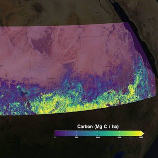 Image depicting color map of carbon stored in tree crowns in Africa