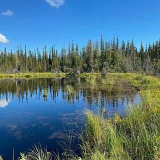 Photo of  Big Trail Lake near Fairbanks, Alaska