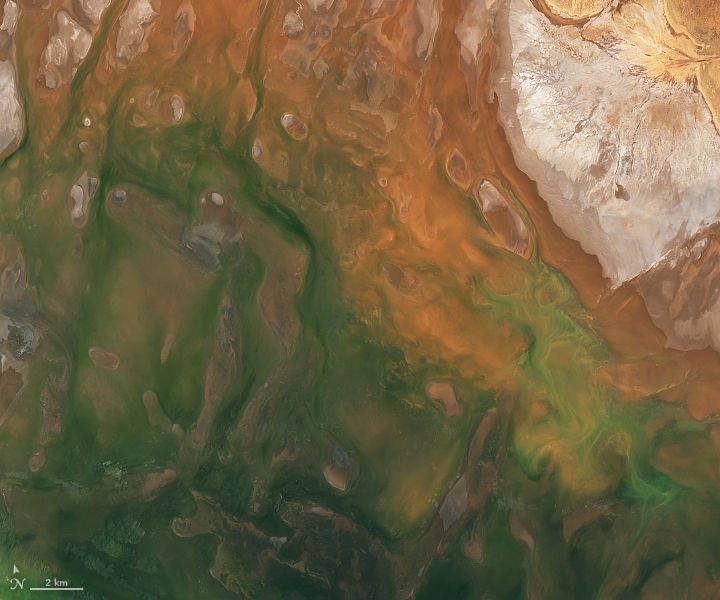 Landsat 9 satellite image of Lake Torrens