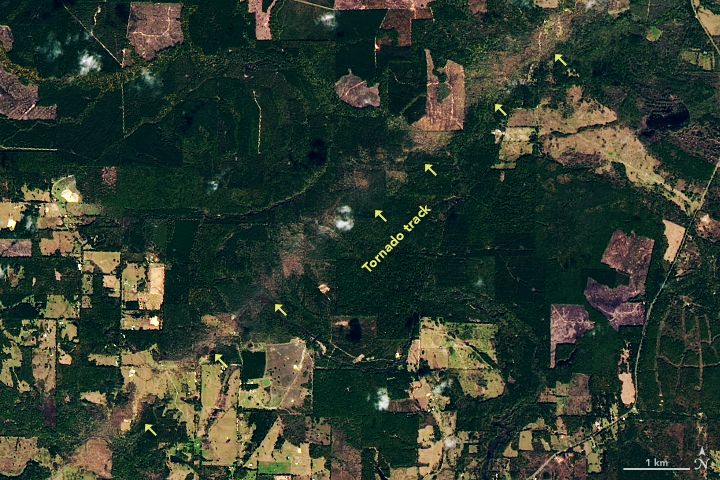 Landsat 8 natural-color satellite image showing the tornado damage track in Red River County, Texas. 