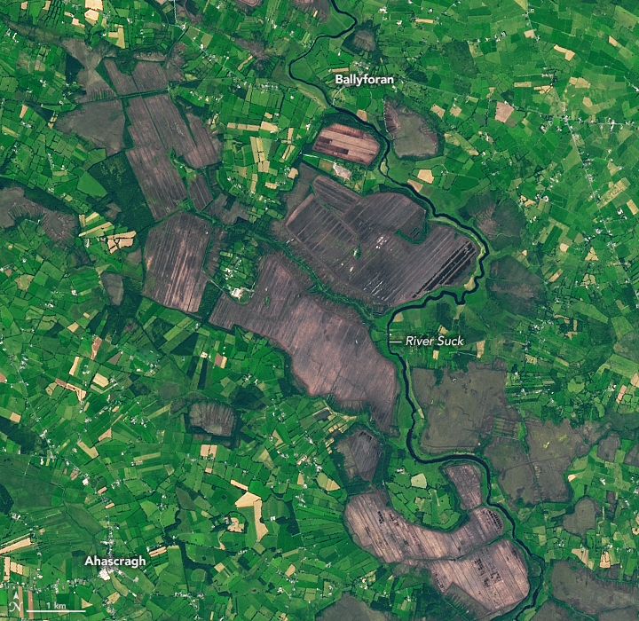 Landsat 9 satellite image of peat bogs in central Ireland, near Ballyforan