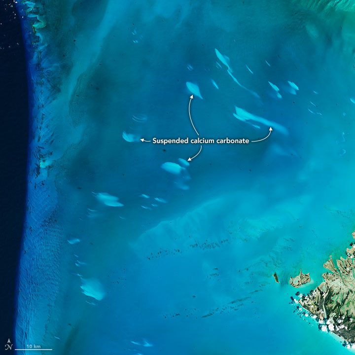 Landsat 8 satellite image of a whiting event off the west coast of Great Bahama Bank