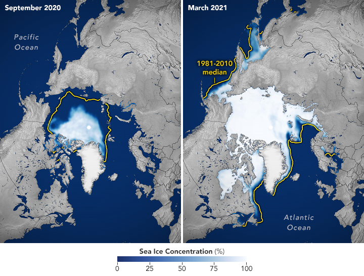 Images of Sea Ice Concentration