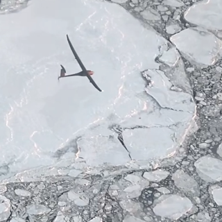 Image of drone over sea ice
