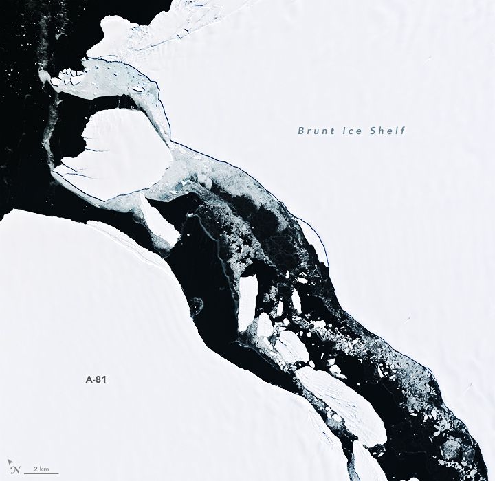 Landsat 8 satellite detailed image of Iceberg A-81 drifting in the Weddell Sea