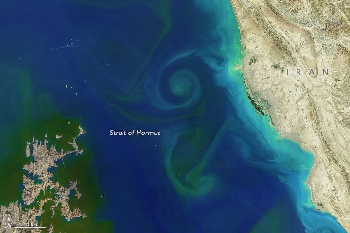 Landsat 8 satellite image image of swirls of phytoplankton in the Strait of Hormuz