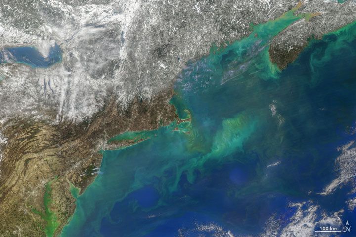 Aqua satellite image of the North Atlantic Ocean from the Delmarva Peninsula to Nova Scotia