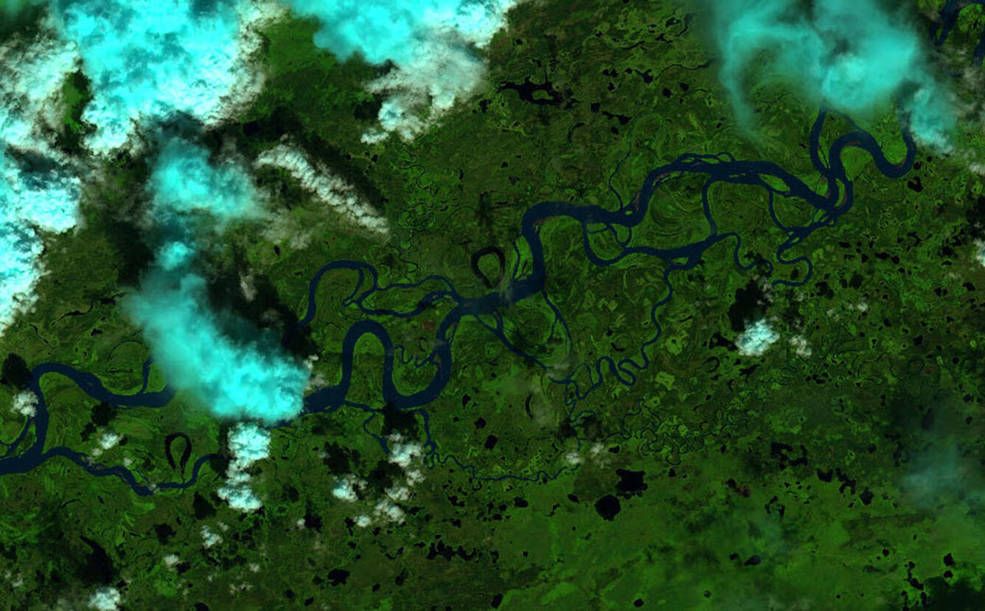 Landsat satellite image of a portion of the Yukon River in Alaska