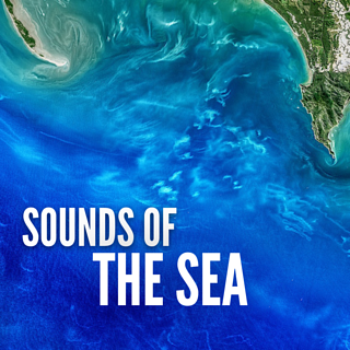 Sounds of the Sea title page