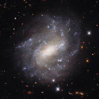 Hubble Spies a Lonely Spiral
