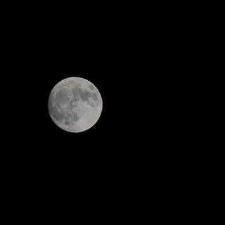 photo of the full moon